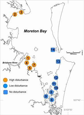 Highly Disturbed Populations of Seagrass Show Increased Resilience but Lower Genotypic Diversity